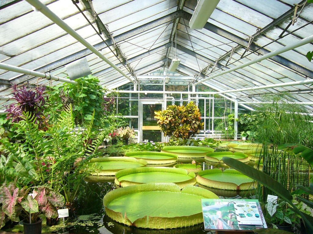 Could the Global Boom in Greenhouses Help Cool the Planet? – Yale e360