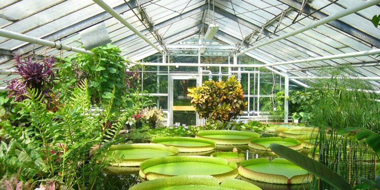 Could the Global Boom in Greenhouses Help Cool the Planet? – Yale e360