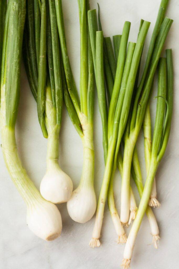 Tall scallions harvested in Shandong – China Daily