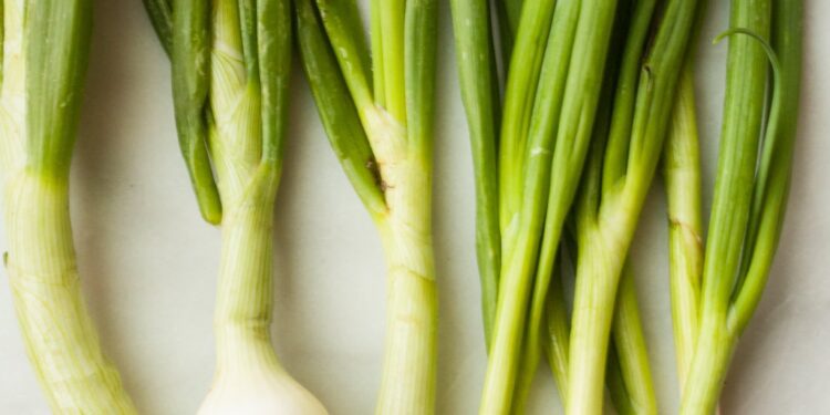 Tall scallions harvested in Shandong – China Daily