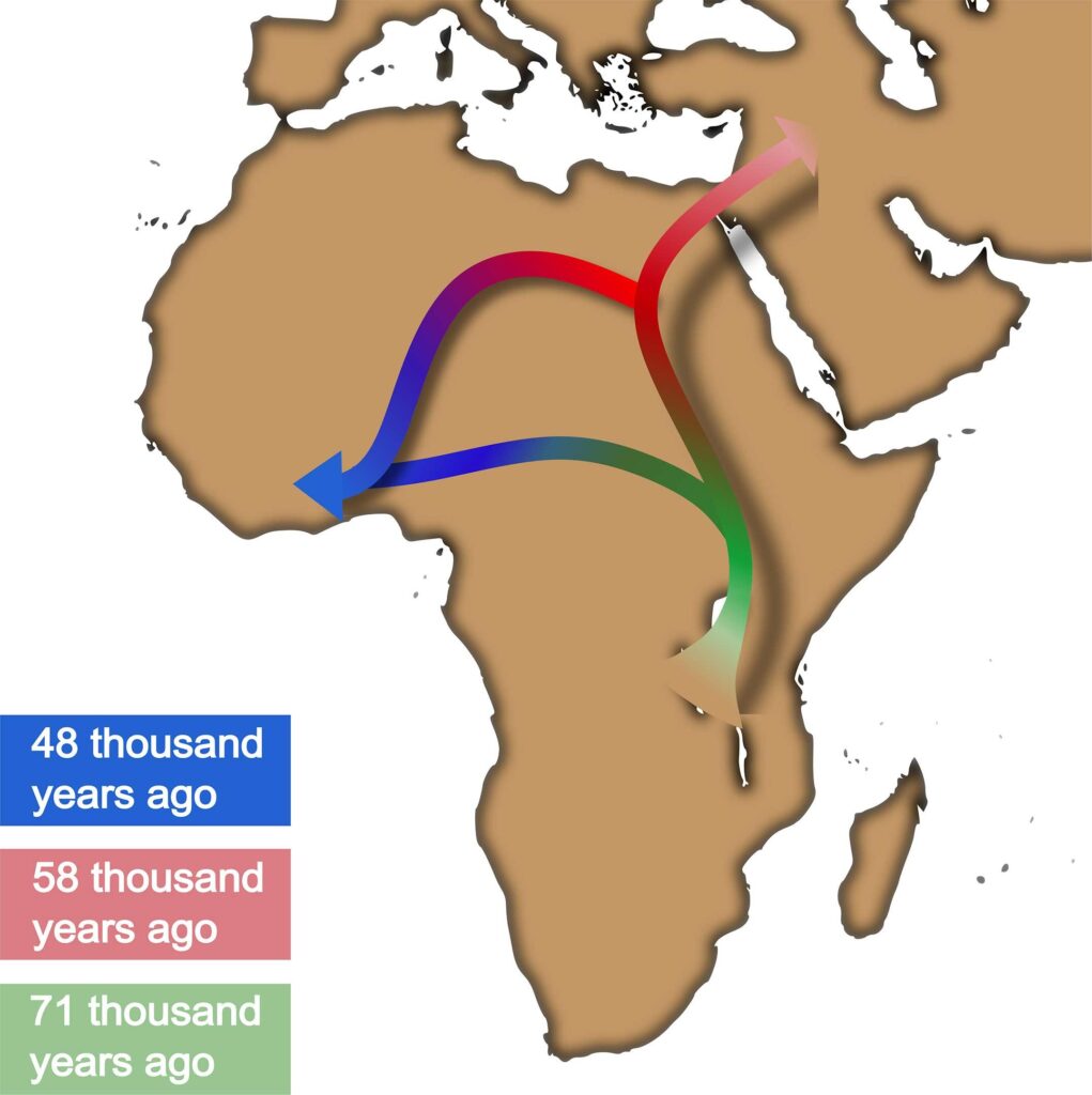 Out of Africa Theory Changed – MSN