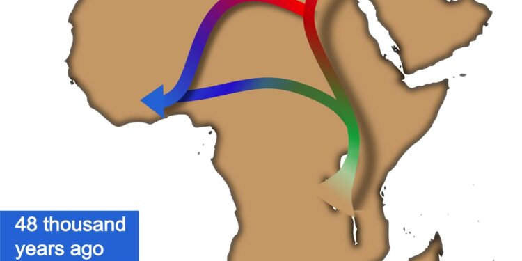 Out of Africa Theory Changed – MSN