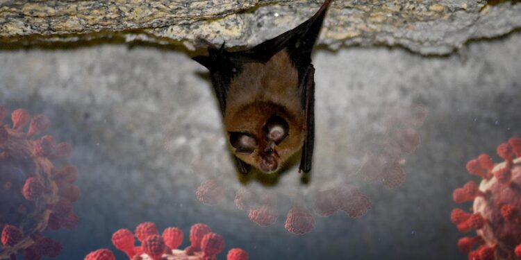 Covid-like bat virus discovered by researchers at Wuhan lab in China – Business Standard