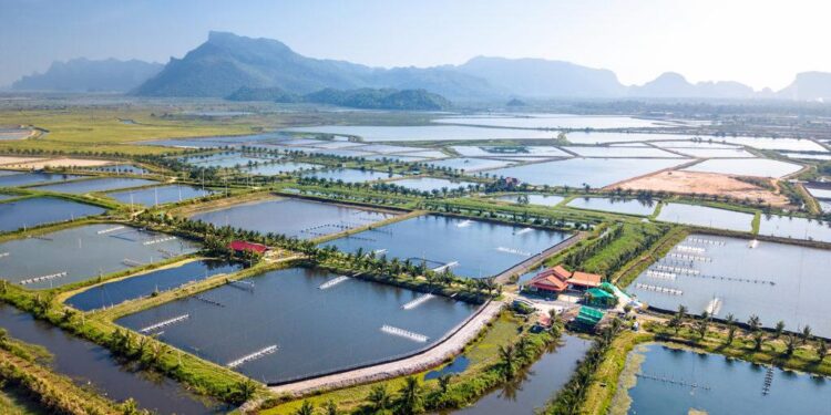 World Aquaculture 2025 China – World Aquaculture Society