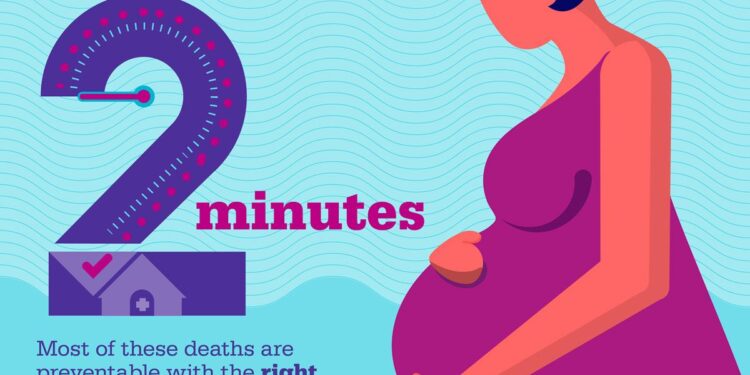 Nigeria Unveils Maternal Mortality Intervention Plan for Kano State – News Central TV