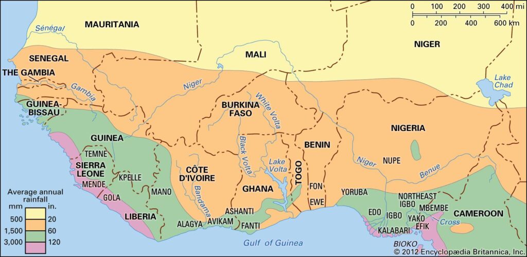 Ivory Coast raises projected cashew output as threatened tariffs hit exports – Reuters