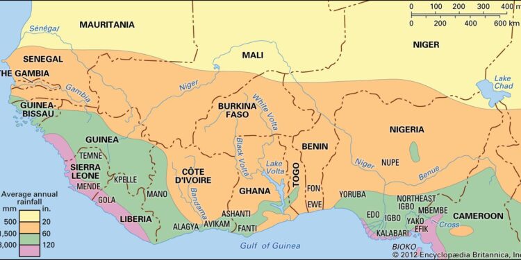 Ivory Coast raises projected cashew output as threatened tariffs hit exports – Reuters