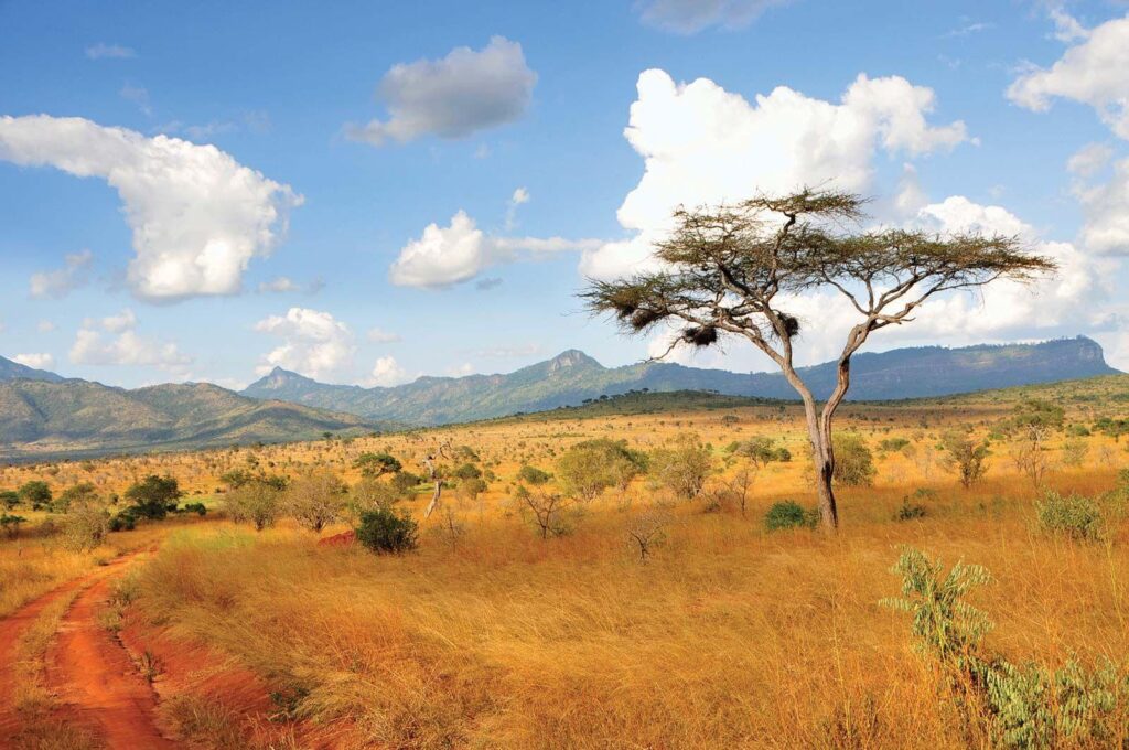 Kenya Travel Advisory – U.S. Embassy in Kenya (.gov)