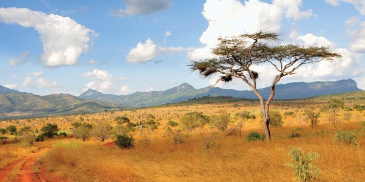Kenya Travel Advisory – U.S. Embassy in Kenya (.gov)