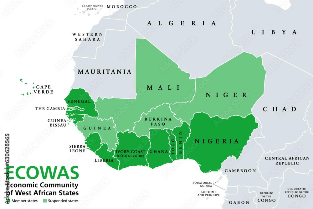 Validation of strategic documents of the ECOWAS Project Preparation and Development Unit (PPDU) at the center of a meeting of ECOWAS experts in Lagos, Nigeria – Economic Community of West African States (ECOWAS)