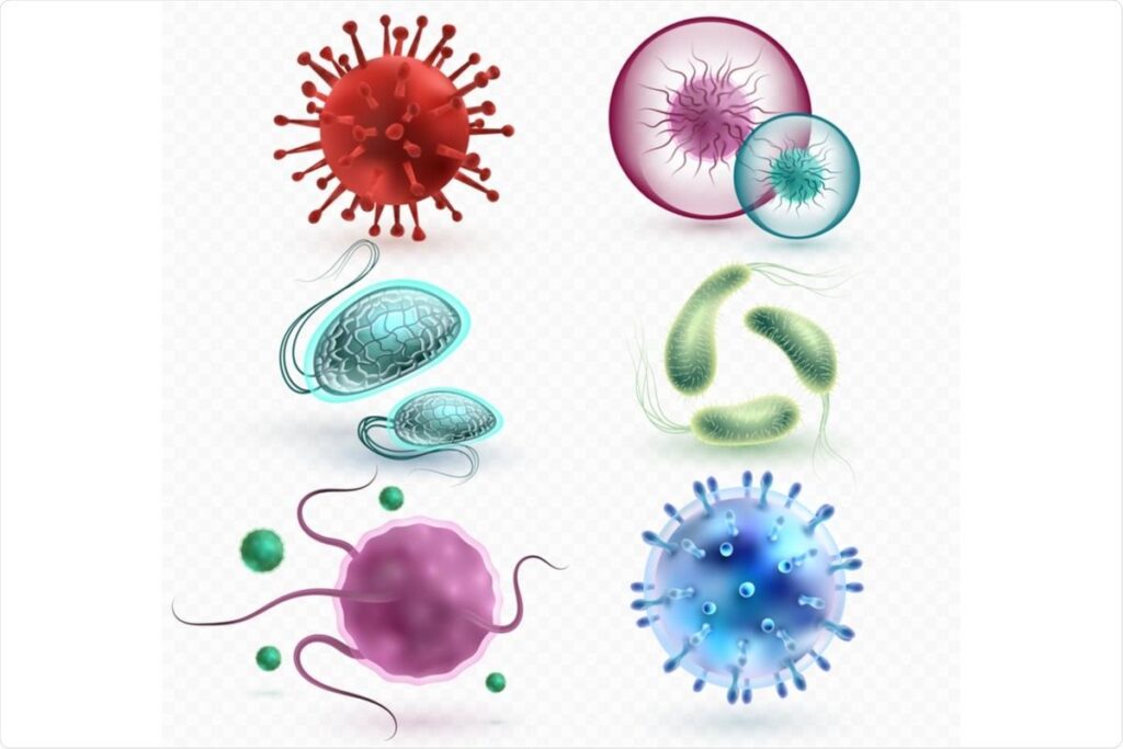 A 3-Year Retrospective Analysis of Microbial Species and Key Biomarkers Associated with Wound Infections in Shantou Hospital, China – Frontiers