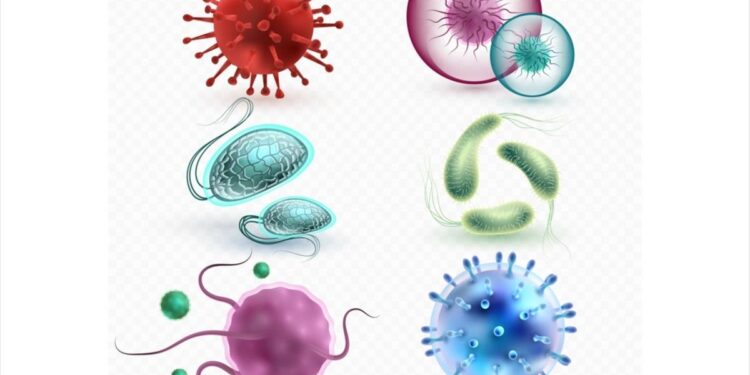 A 3-Year Retrospective Analysis of Microbial Species and Key Biomarkers Associated with Wound Infections in Shantou Hospital, China – Frontiers