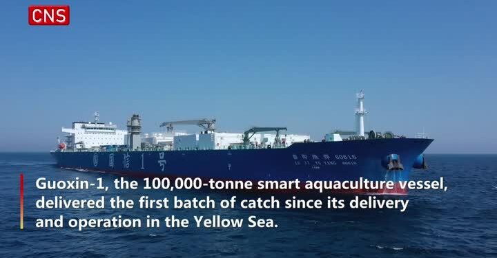 China’s smart aquaculture vessel sets sail from Qingdao – CCTV.com English