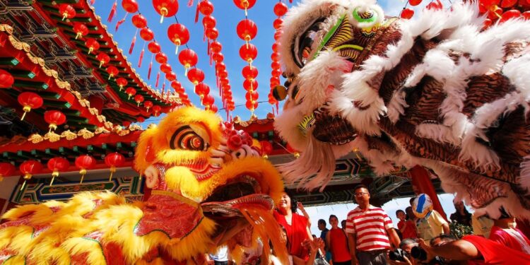 Overseas Chinese Celebrate Chinese New Year with Food, Festivities in Chongqing – iChongqing