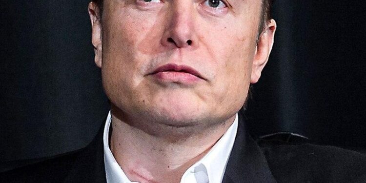 Elon Musk’s strong reaction to South Africa calling Afrikaners ‘cowards’ – Times of India
