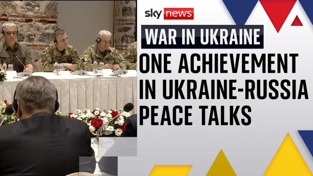 First direct Ukraine-Russia peace talks since 2022 to go ahead without Putin, Zelensky – France 24