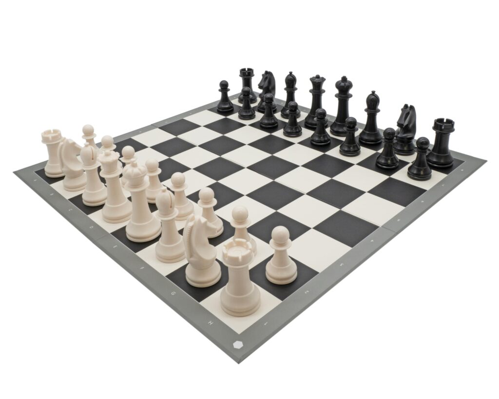 Rs 50,000 a month and countless sacrifices: How India’s chess future shapes up in Chennai hut – Times of India