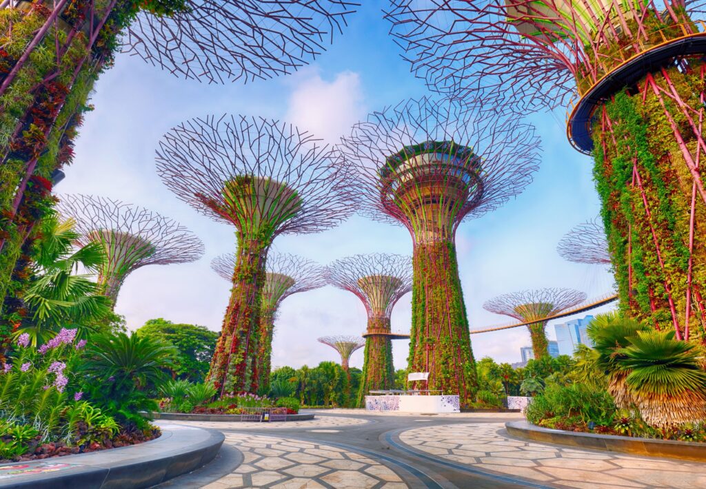 Singapore fund targets Gulf investors for India data centers – Semafor