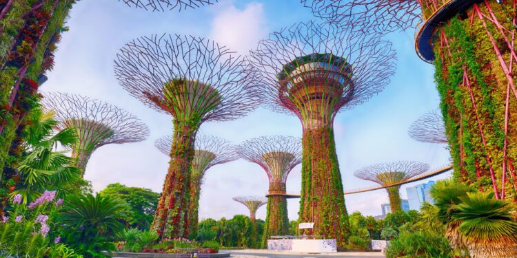 Singapore fund targets Gulf investors for India data centers – Semafor