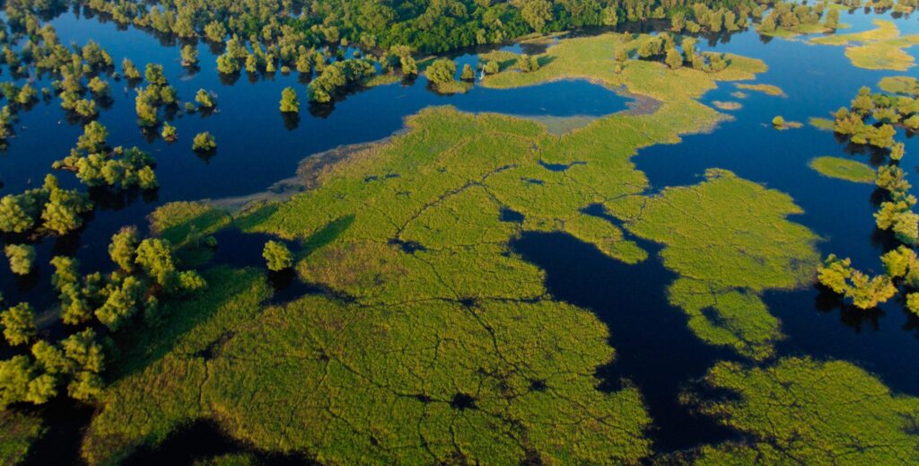 Protecting our wetlands with IUCN Oceania and Kiwa Initiative – IUCN