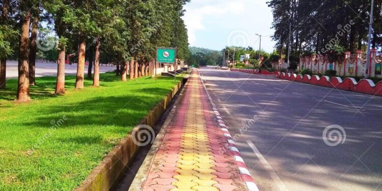 Citizens, activists oppose felling of trees in Bengaluru’s Cantonment area – Times of India