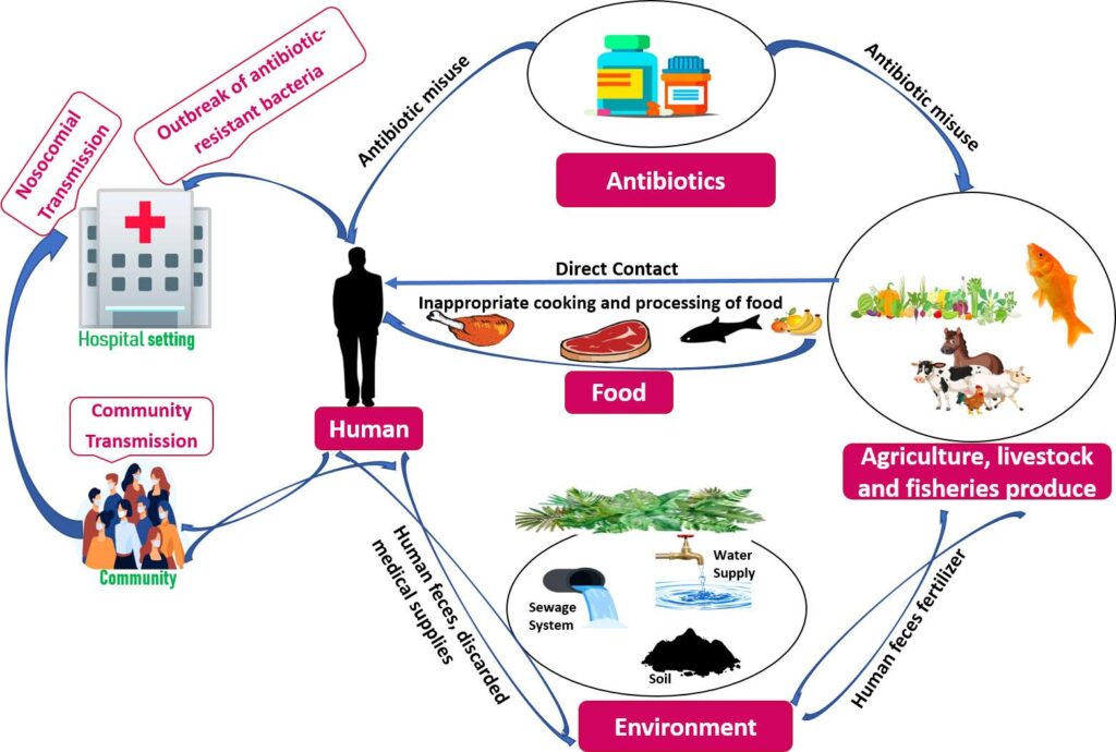 Antibiotic resistance of bioaerosols in particulate matter from indoor environments of the hospitals in Dhaka Bangladesh – Nature
