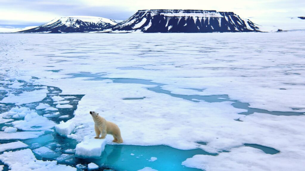 Tensions rise as China, Russia, US and Europe scramble for Arctic – BBC