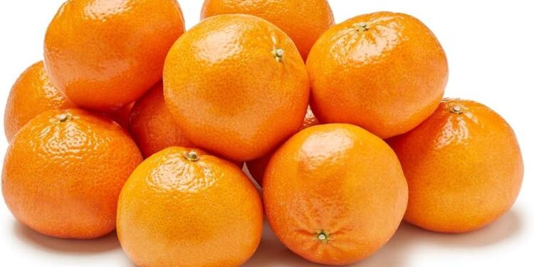 5 Types Of Mandarin Oranges For Chinese New Year – MICHELIN Guide