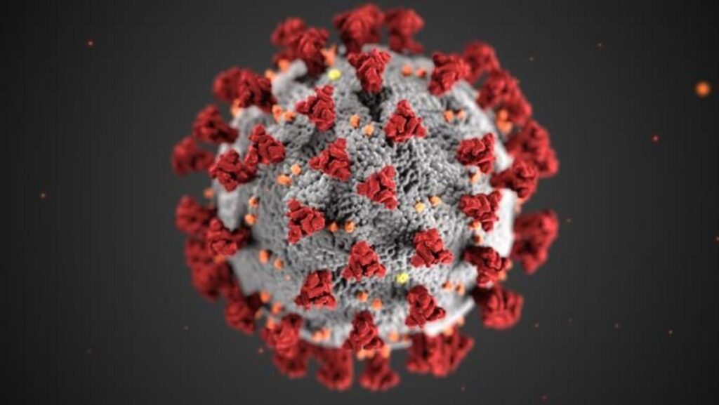 Covid in India Live Updates: India records over 750 new Covid-19 cases in a week; two new variants detected – Moneycontrol