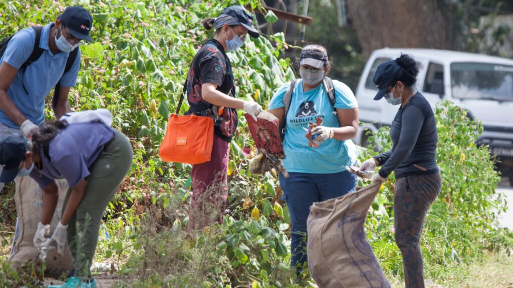 NKDA set to conduct week-long clean-up drive – Times of India