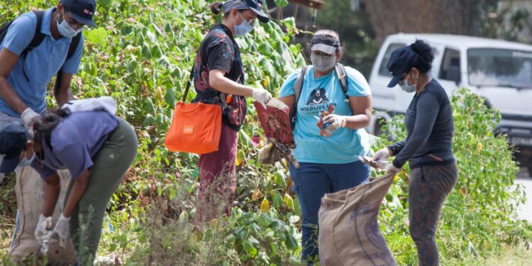 NKDA set to conduct week-long clean-up drive – Times of India