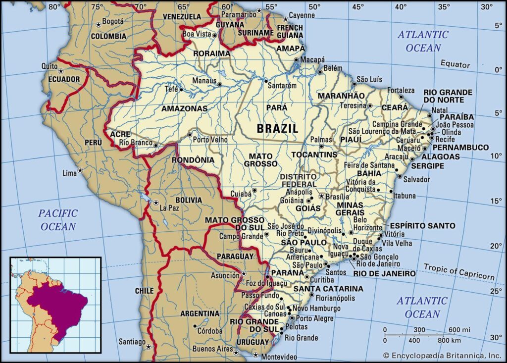 Full ban on Brazil poultry not expected after bird flu outbreak, minister says – Reuters