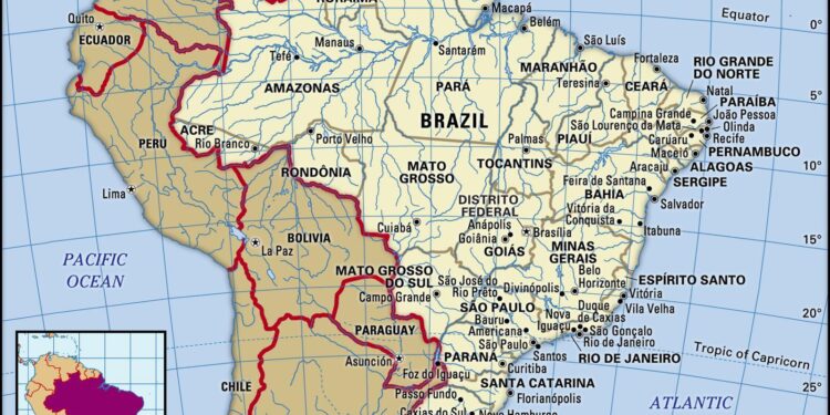Full ban on Brazil poultry not expected after bird flu outbreak, minister says – Reuters