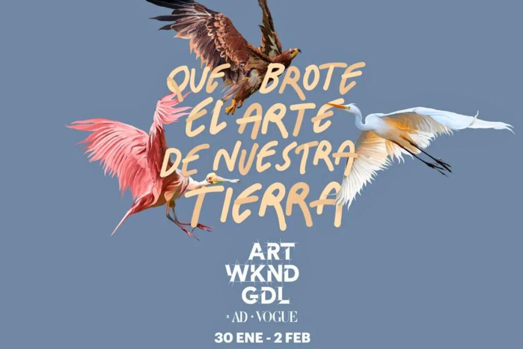 At Guadalajara Art Weekend, Open Studios Are the Biggest Draw – observer.com