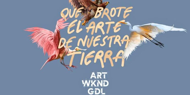 At Guadalajara Art Weekend, Open Studios Are the Biggest Draw – observer.com