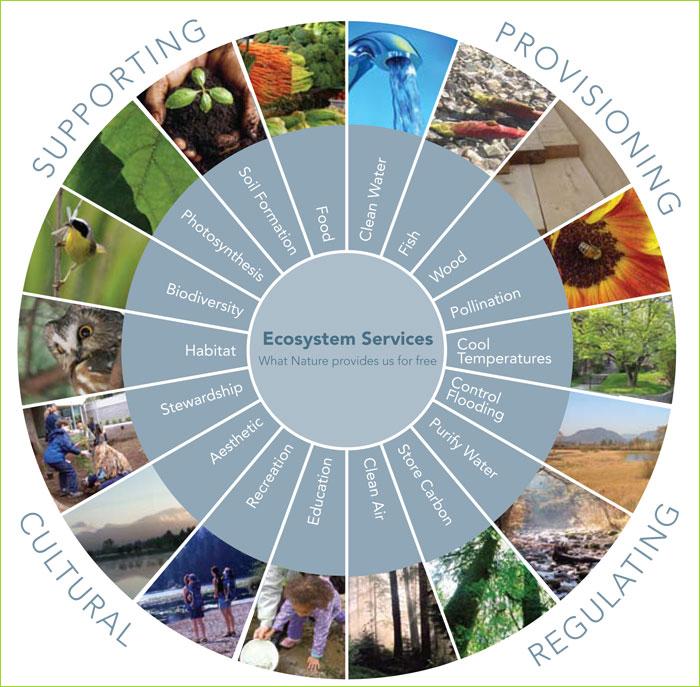 Spatiotemporal assessment of recreation ecosystem service flow from green spaces in Zhengzhou’s main urban area – Nature
