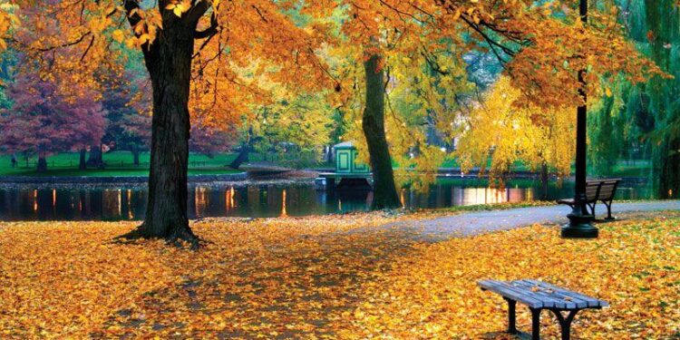 Autumn scenery in Xi’an, NW China’s Shaanxi – Xinhua