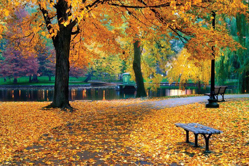 Autumn scenery in Xi’an, NW China’s Shaanxi – Xinhua