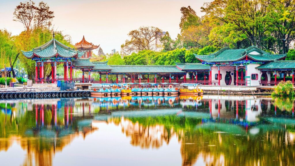 City lights meet cherry blossoms in Kunming, China – Xinhua