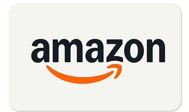 Amazon Wins Major Tax Case in India: Delhi High Court Rules Cloud Services Not Taxable – The Plunge Daily