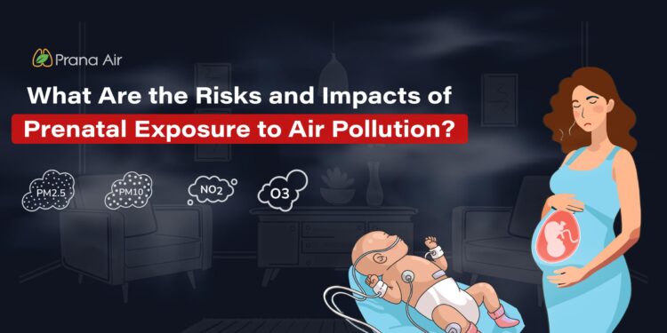 Prenatal exposure to air pollution and neurodevelopmental delay in children: A birth cohort study in Foshan, China – ScienceDirect.com
