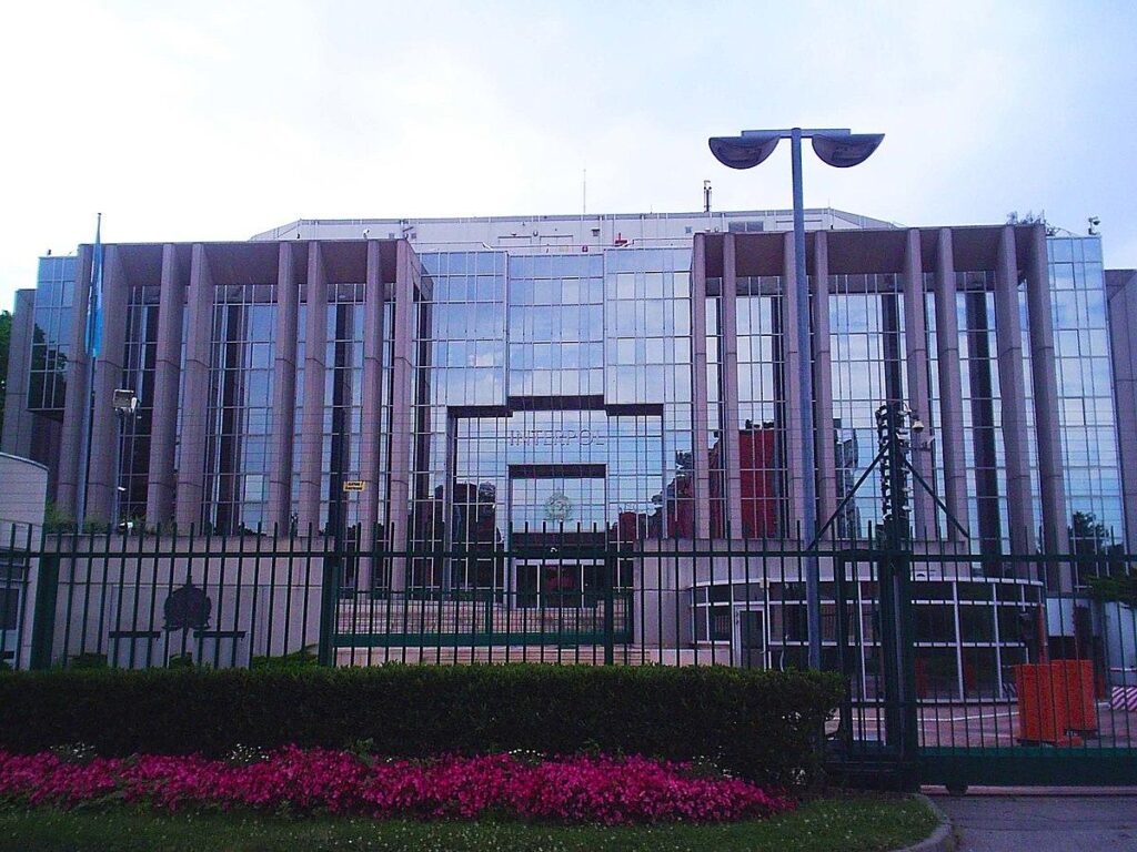 INTERPOL nabs Canadian, Nigerian for suspected fraud in Abuja – Punch Newspapers