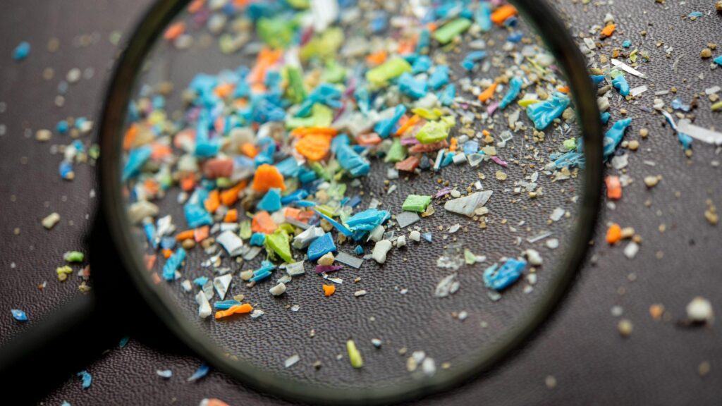 Microplastics removal and characteristics of constructed wetlands WWTPs in rural area of Changsha, China: A different situation from urban WWTPs – ScienceDirect.com