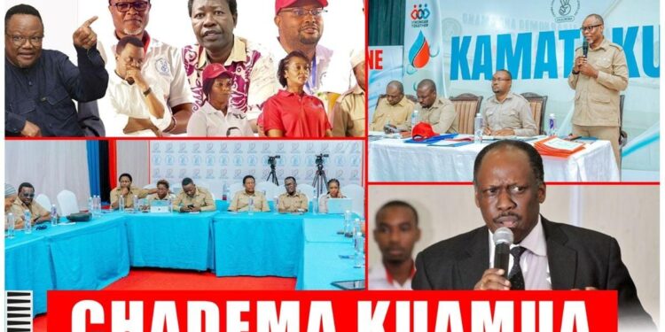 Chadema’s main rivals chose refs, linesmen, commissars, spectators – The EastAfrican