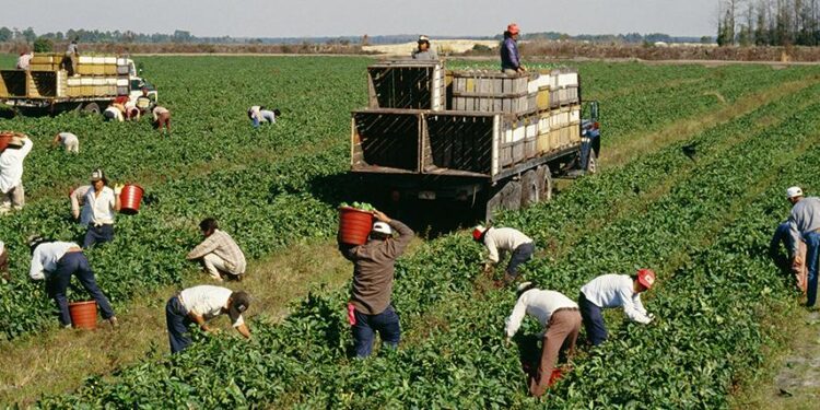 Rights groups say migrant workers are dying on Saudi job sites as kingdom prepares for World Cup – Boston Herald
