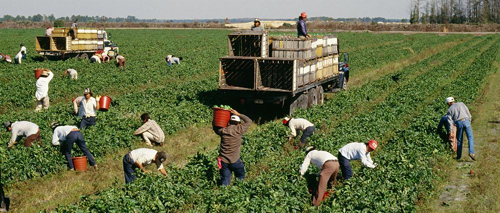 Rights groups say migrant workers are dying on Saudi job sites as kingdom prepares for World Cup – Boston Herald