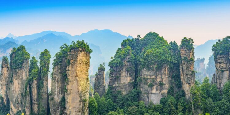 Experiencing Hunan’s economic, tech innovation from up close – China Daily
