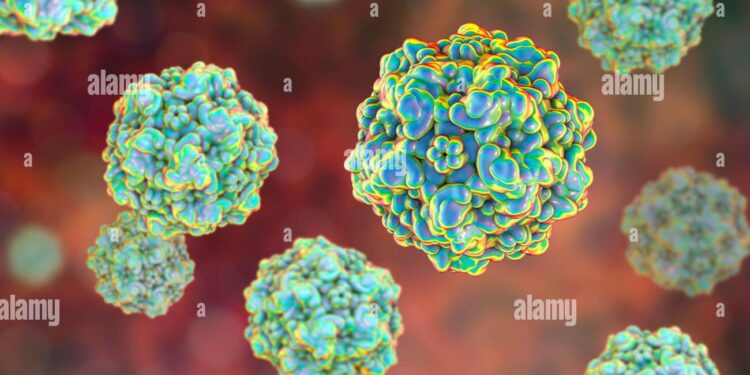 Two novel sites determine genetic relationships between CPV-2 and FPV: an epidemiological survey of canine and feline parvoviruses in Changchun, China (2020) – Frontiers