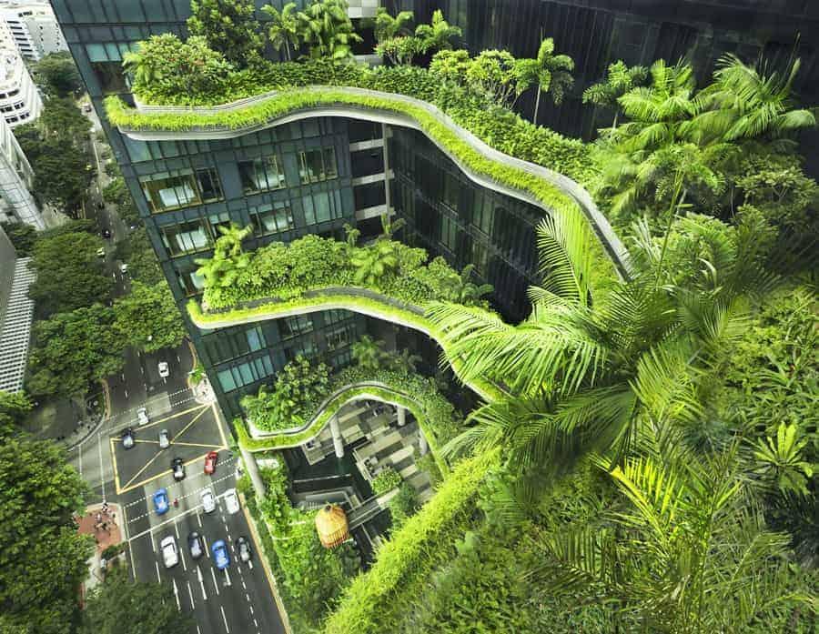 Green Cities in Focus as Shanghai Hosts International Forum – Sixth Tone