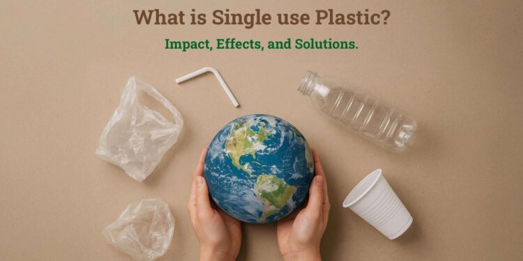 Year-long drive on single-use plastic – Times of India